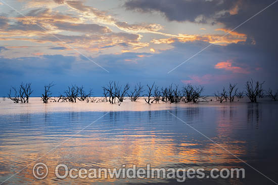 Lake Menindee at sunset photo Lake Menindee at sunset photo