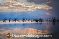 Lake Menindee at sunset Photo - Gary Bell