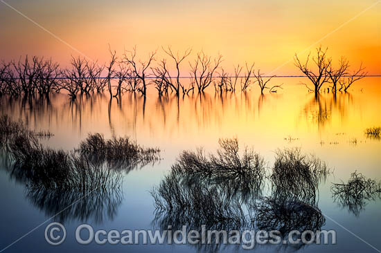 Lake Menindee at sunset photo Lake Menindee at sunset photo