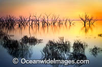 Lake Menindee at sunset Photo - Gary Bell