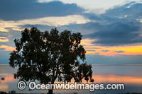 Lake Menindee at twilight Photo - Gary Bell