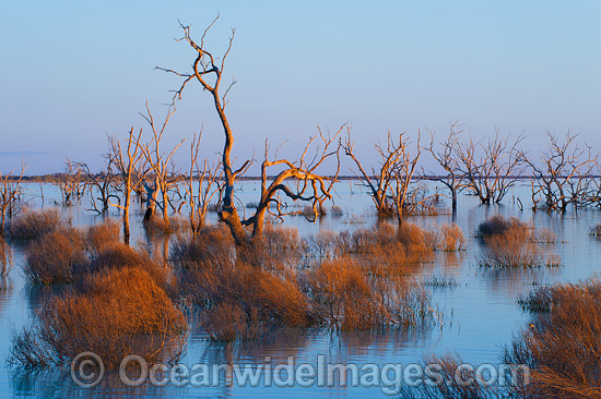 Lake Menindee at dusk sunset photo Lake Menindee at dusk sunset photo