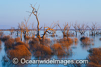 Lake Menindee at dusk sunset Photo - Gary Bell