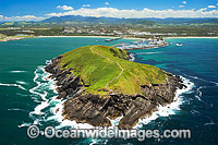 Coffs Harbour Mutton Bird Island Photo - Gary Bell