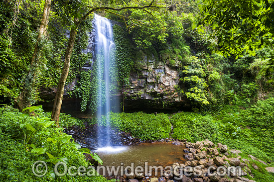Crystal Shower Falls Dorrigo photo Crystal Shower Falls Dorrigo photo