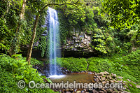 Crystal Shower Falls Dorrigo Photo - Gary Bell