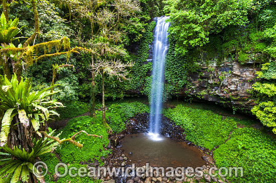 Crystal Shower Falls Dorrigo photo Crystal Shower Falls Dorrigo photo