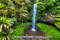 Crystal Shower Falls Dorrigo Photo - Gary Bell