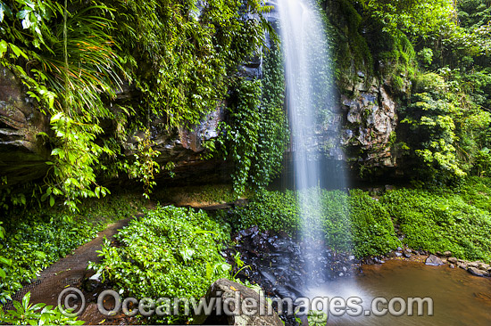 Crystal Shower Falls Dorrigo photo Crystal Shower Falls Dorrigo photo