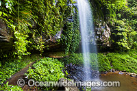 Crystal Shower Falls Dorrigo Photo - Gary Bell