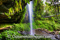 Crystal Shower Falls Dorrigo Photo - Gary Bell