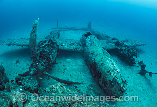World War II American fighter aircraft photo World War II American fighter aircraft photo