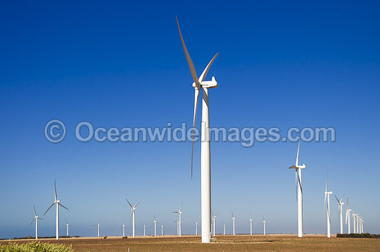 Australian Wind Farm photo Australian Wind Farm photo
