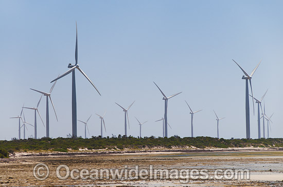 Wind Farm photo Wind Farm photo