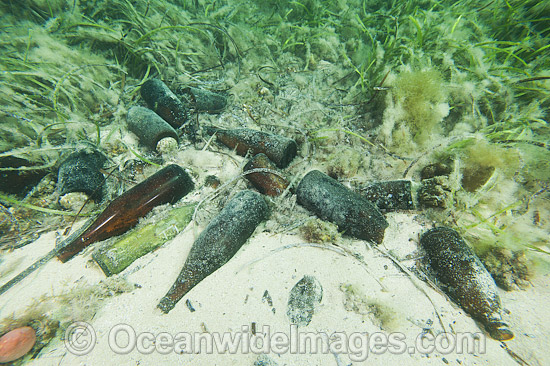Pollution under Jetty photo
