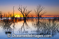 Lake Menindee at dawn sunrise Photo - Gary Bell
