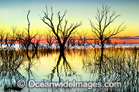 Lake Menindee at dawn sunrise Photo - Gary Bell