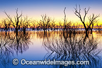 Lake Menindee at dawn sunrise Photo - Gary Bell