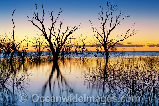 Lake Menindee at dawn sunrise photo Lake Menindee at dawn sunrise photo