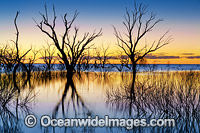 Lake Menindee at dawn sunrise Photo - Gary Bell