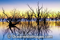 Lake Menindee at dawn sunrise Photo - Gary Bell