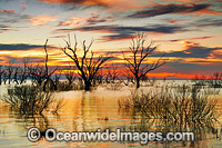 Lake Menindee at dawn sunrise Photo - Gary Bell