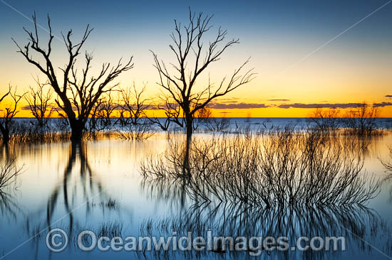 Lake Menindee at dawn sunrise photo Lake Menindee at dawn sunrise photo