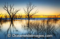 Lake Menindee at dawn sunrise Photo - Gary Bell
