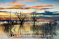 Lake Menindee at dawn sunrise Photo - Gary Bell