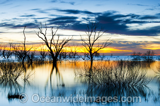 Lake Menindee at dawn sunrise photo Lake Menindee at dawn sunrise photo