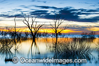 Lake Menindee at dawn sunrise Photo - Gary Bell