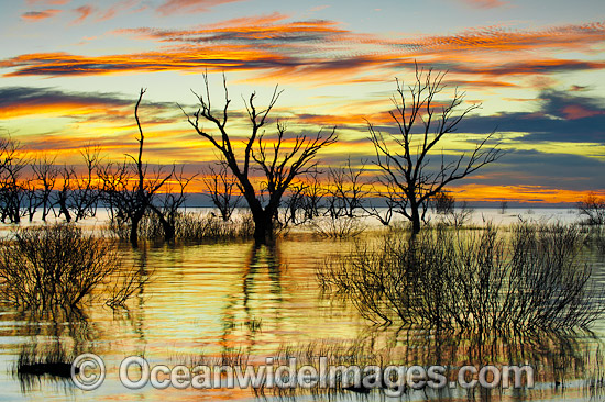 Lake Menindee at dawn sunrise photo Lake Menindee at dawn sunrise photo