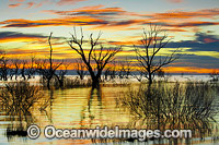 Lake Menindee at dawn sunrise Photo - Gary Bell