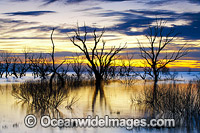 Lake Menindee at dawn sunrise Photo - Gary Bell