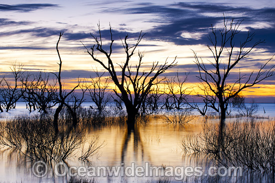 Lake Menindee at dawn sunrise photo Lake Menindee at dawn sunrise photo