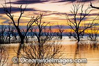 Lake Menindee at dawn sunrise Photo - Gary Bell