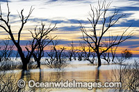 Lake Menindee at dawn sunrise Photo - Gary Bell