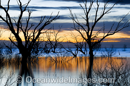 Lake Menindee at sunrise photo
