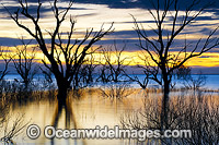 Lake Menindee at dawn sunrise Photo - Gary Bell