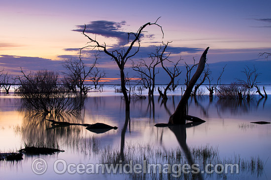 Lake Menindee at dawn sunrise photo Lake Menindee at dawn sunrise photo