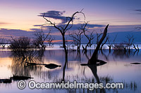 Lake Menindee at dawn sunrise Photo - Gary Bell