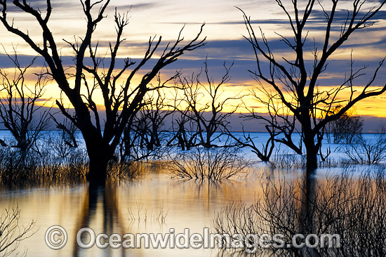 Lake Menindee at dawn sunrise photo