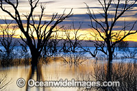 Lake Menindee at dawn sunrise Photo - Gary Bell