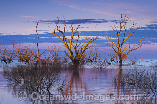 Lake Menindee at dawn sunrise photo Lake Menindee at dawn sunrise photo