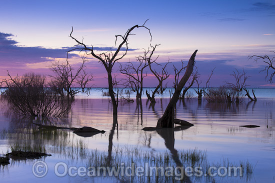 Lake Menindee at dawn sunrise photo Lake Menindee at dawn sunrise photo
