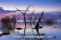 Lake Menindee at dawn sunrise Photo - Gary Bell