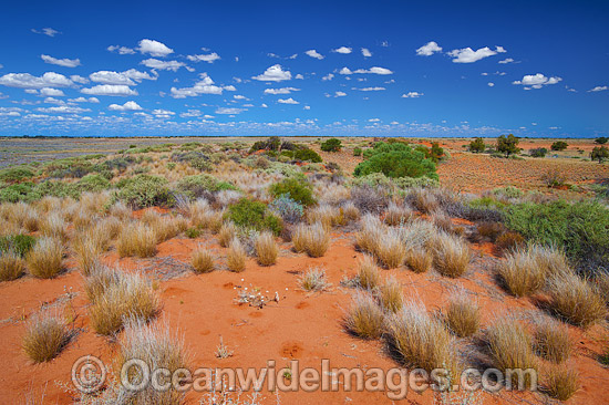 Outback Broken Hill photo