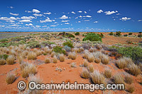 Outback Broken Hill Photo - Gary Bell