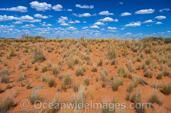 Outback Broken Hill photo Outback Broken Hill photo