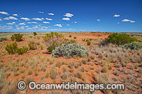 Outback desert landscape Photo - Gary Bell